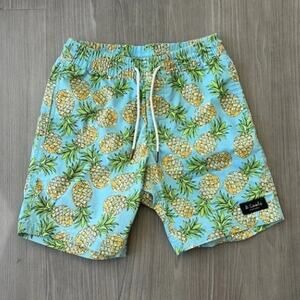 Barney Cools Swim Shorts Pineapple Tropical Vacation Mens 34 Trunks Beach Cruise
